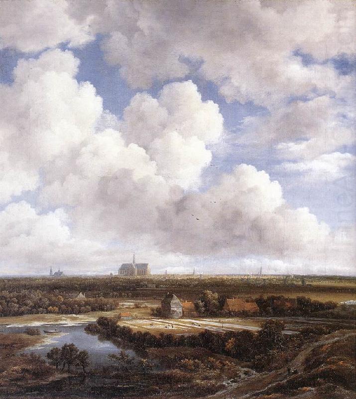 Jacob van Ruisdael View of Haarlem with Bleaching china oil painting image